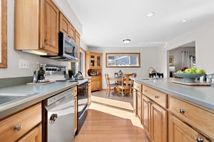 3696 Huron Ct, Ann Arbor, MI 48103, USA Photo 35