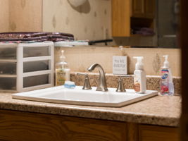  Photo 42
