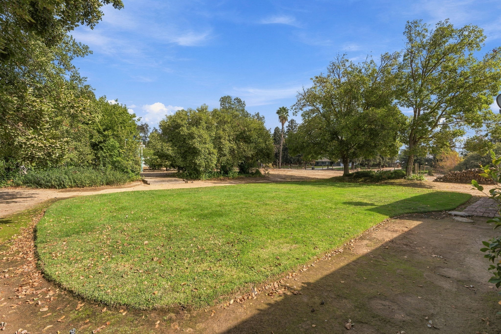  Photo 43