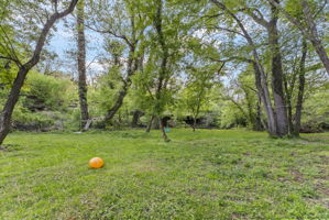  Photo 37