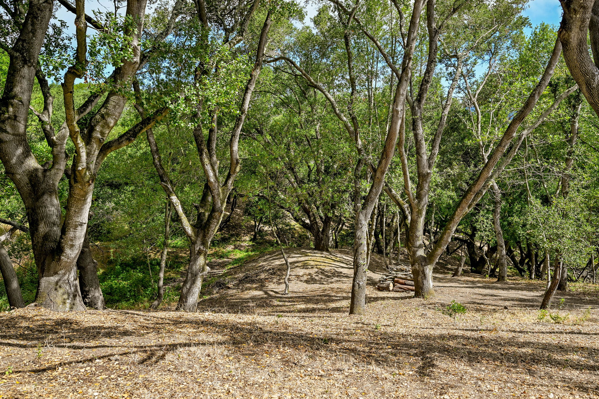  Photo 46