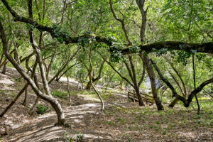  Photo 47