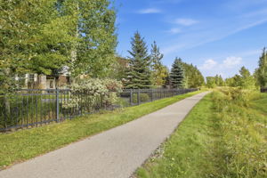  Photo 97
