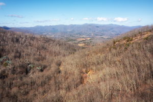  Photo 39