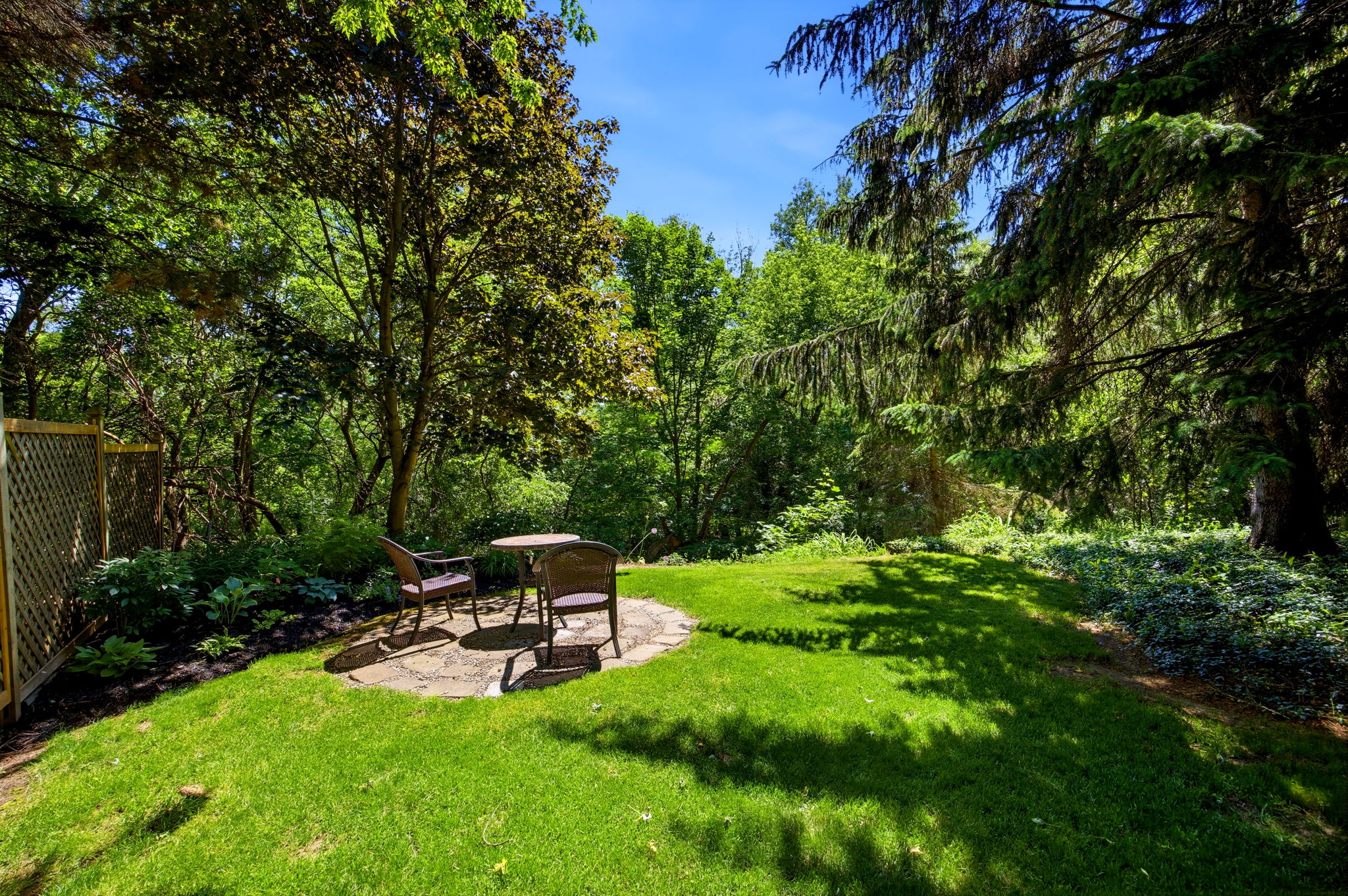  Photo 65