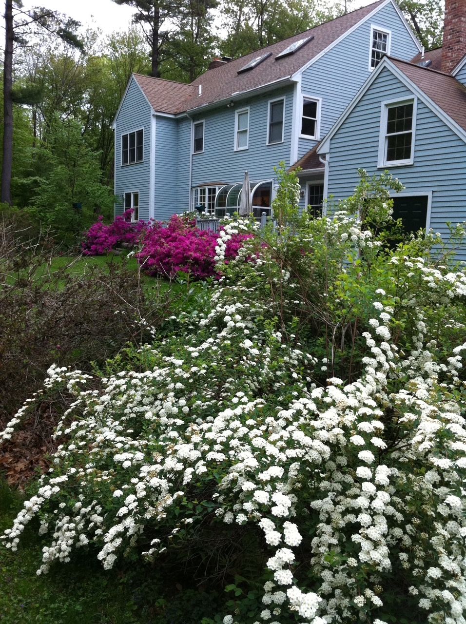  Photo 48