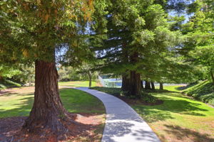052_F8_37 Weepingridge Ct