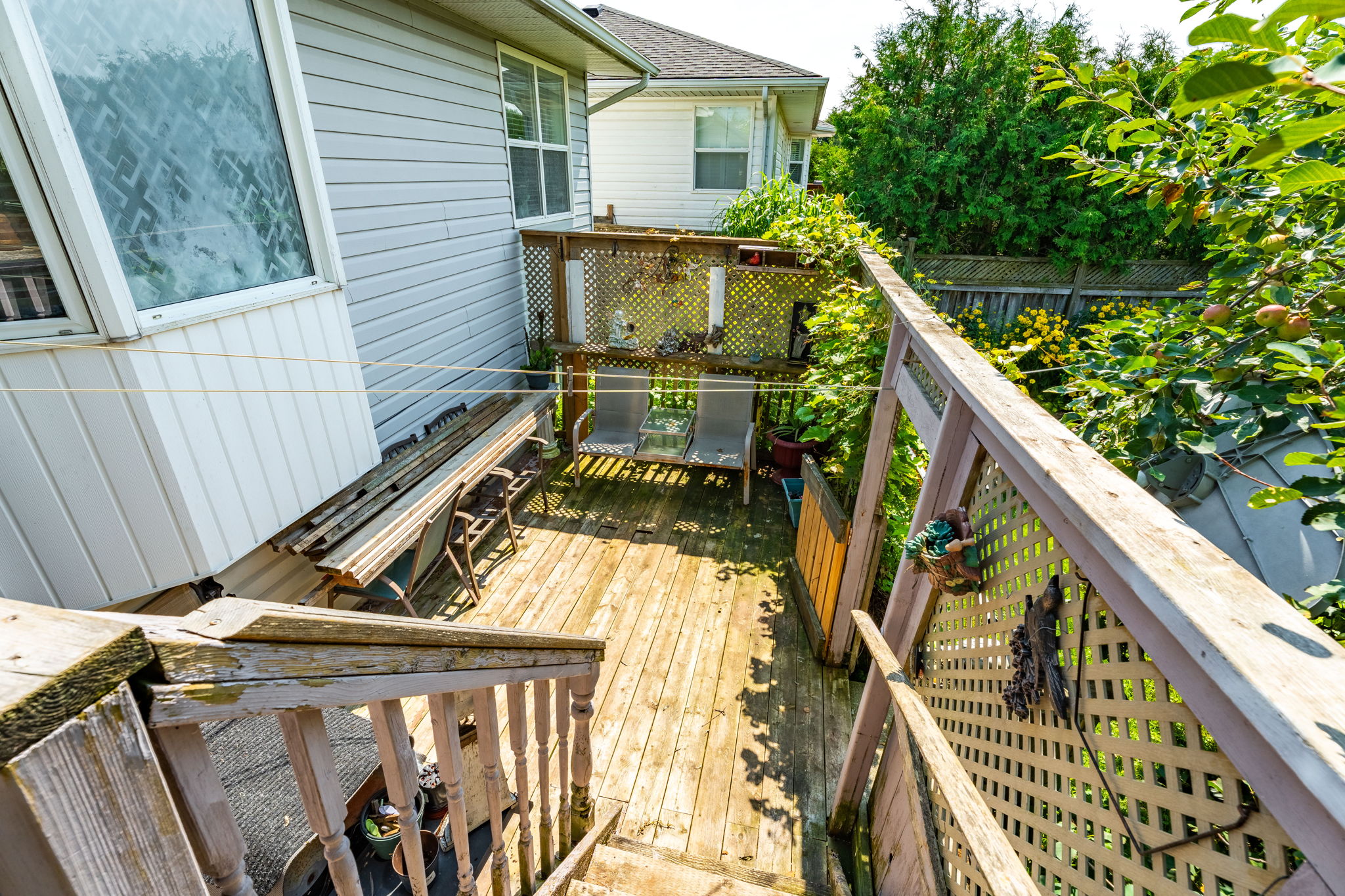 Backyard