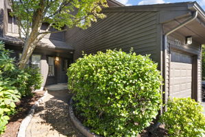  Photo 49