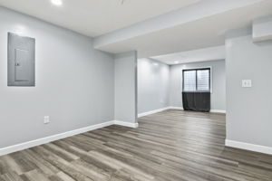 Lower Family Room