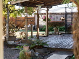  Photo 47