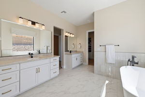 Primary Bathroom (2)