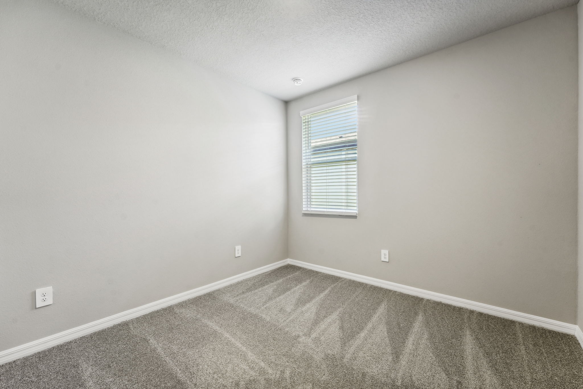 Tampa - Park East - 3706 Radiant Mountain Dr, Plant City, FL - 023