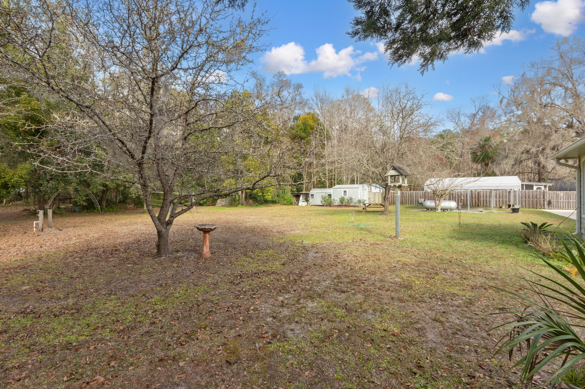 Backyard