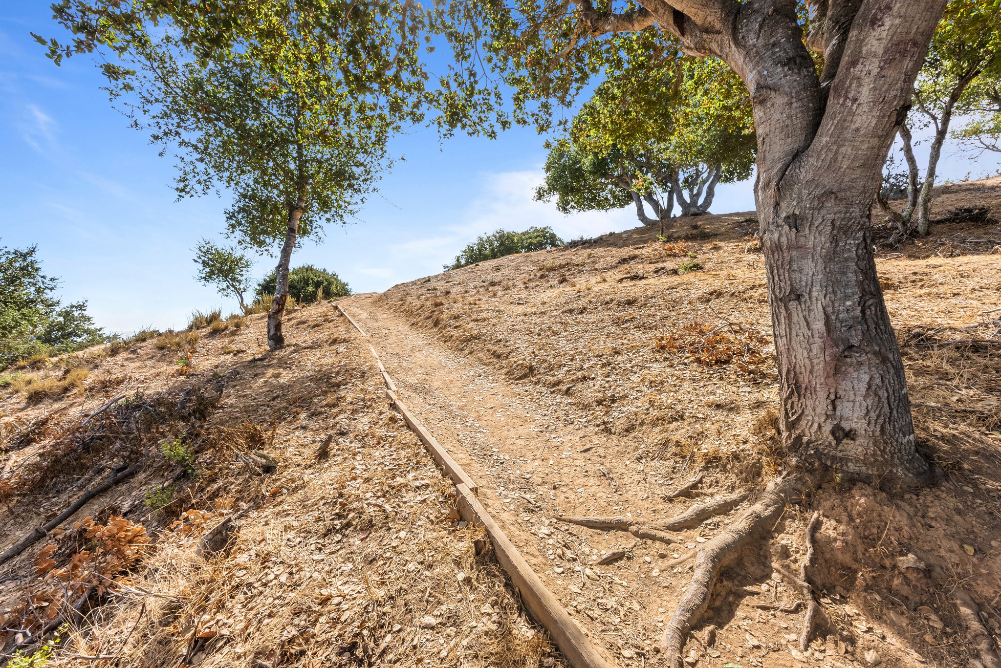 Eaton Canyon Trail