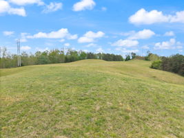  Photo 49