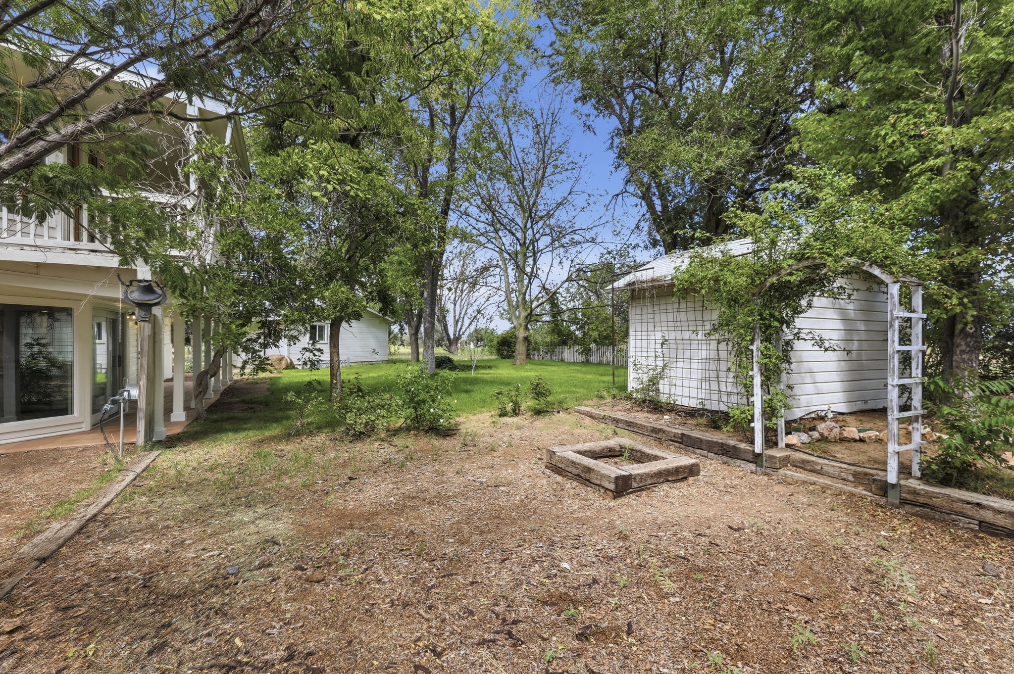Backyard 2