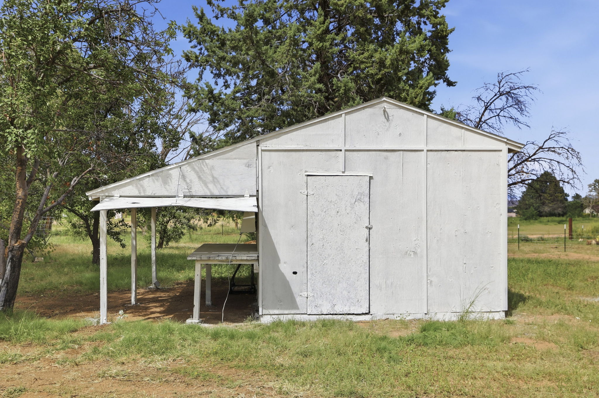 Shed 5