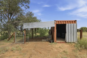 Shed 4