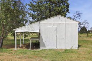 Shed 5