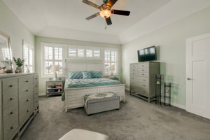 Main Level Primary Bedroom