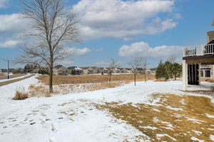 Views of Yard