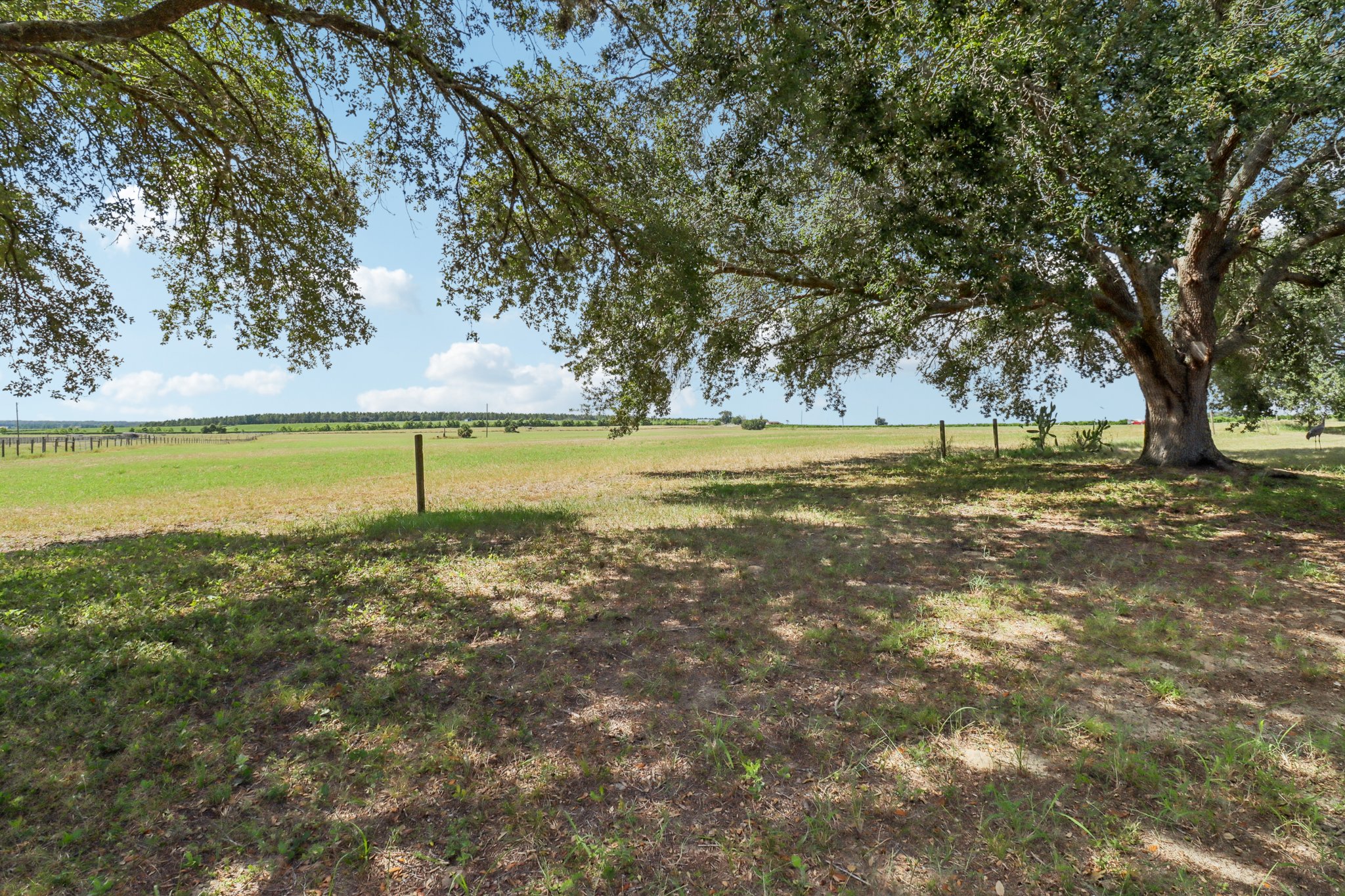 Sandy Ln-S2709-031.jpg