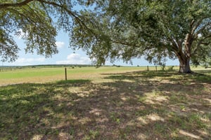 Sandy Ln-S2709-031.jpg