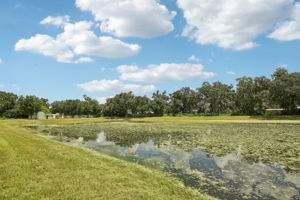 Tampa Division - Park East Lot 343 - 3716 Radiant Mountain Dr, Plant City, FL 33565 - 038