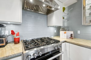 Professional Gas Stove