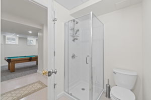 Lower Level Bath