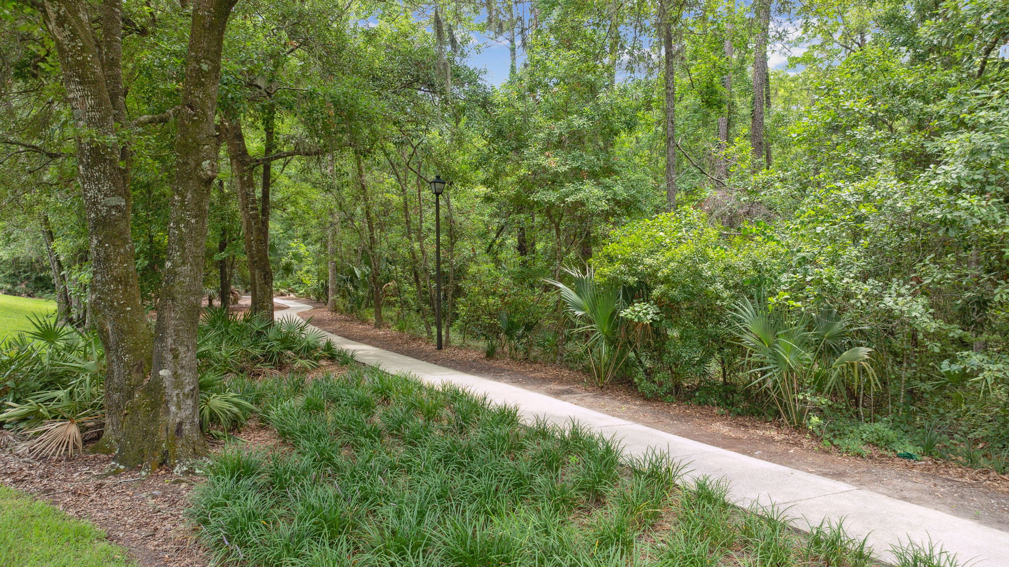 Nature Walking Trails