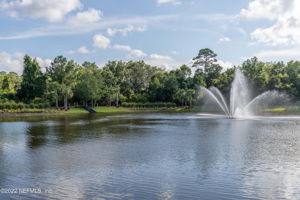 Nature Walking Trails Around the Pond