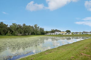 Tampa Division - Park East Lot 343 - 3722 Radiant Mountain Dr, Plant City, FL 33565 - 044