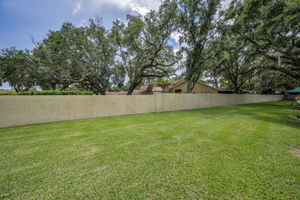 Backyard1