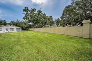 Backyard4