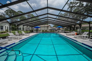 4-Pool