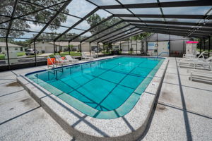 7-Pool