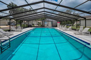 8-Pool
