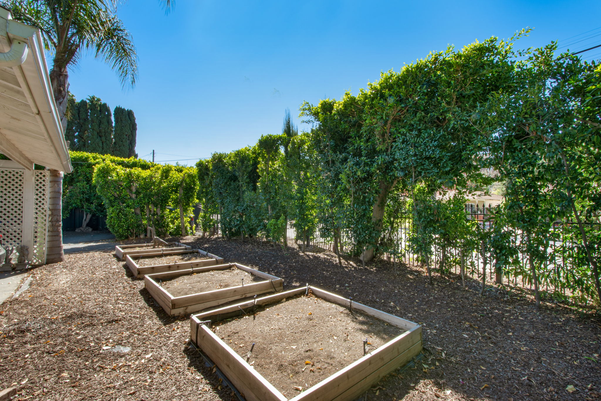 Garden boxes w/drip irrigation at front
