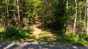  Photo 0