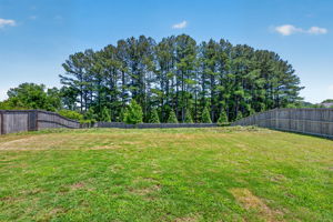  Photo 54