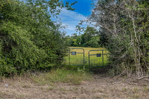  Photo 0