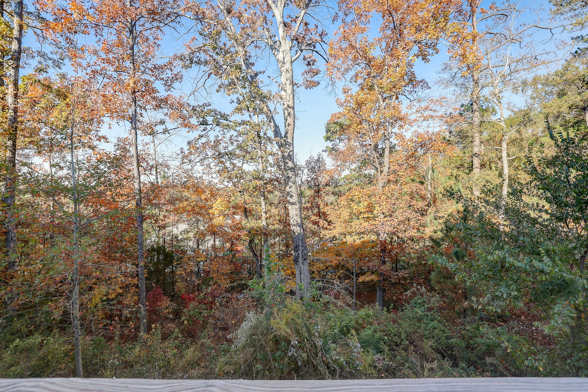 Cherryhill Ln-065