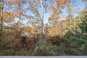 Cherryhill Ln-065