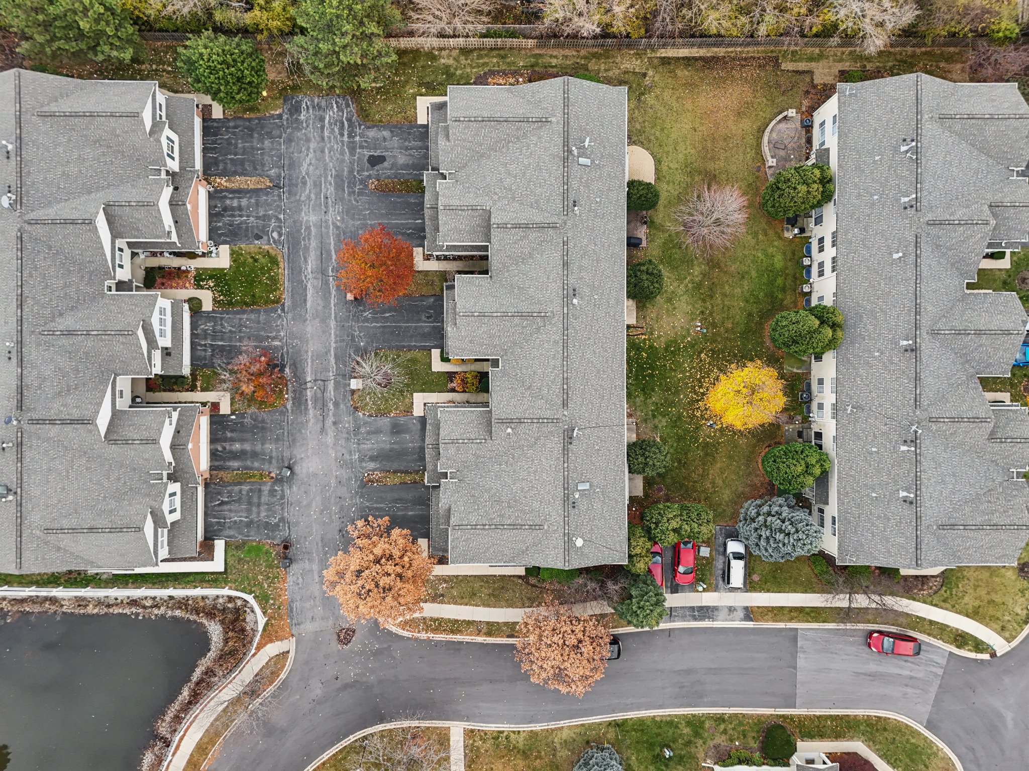 Evergreen Cir-S2211-045.jpg