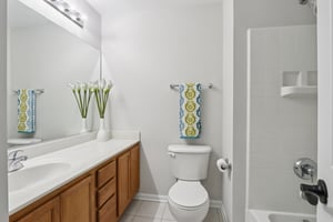 Evergreen Cir-S2211-021.jpg