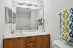 Evergreen Cir-S2211-022.jpg