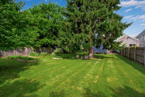  Photo 33