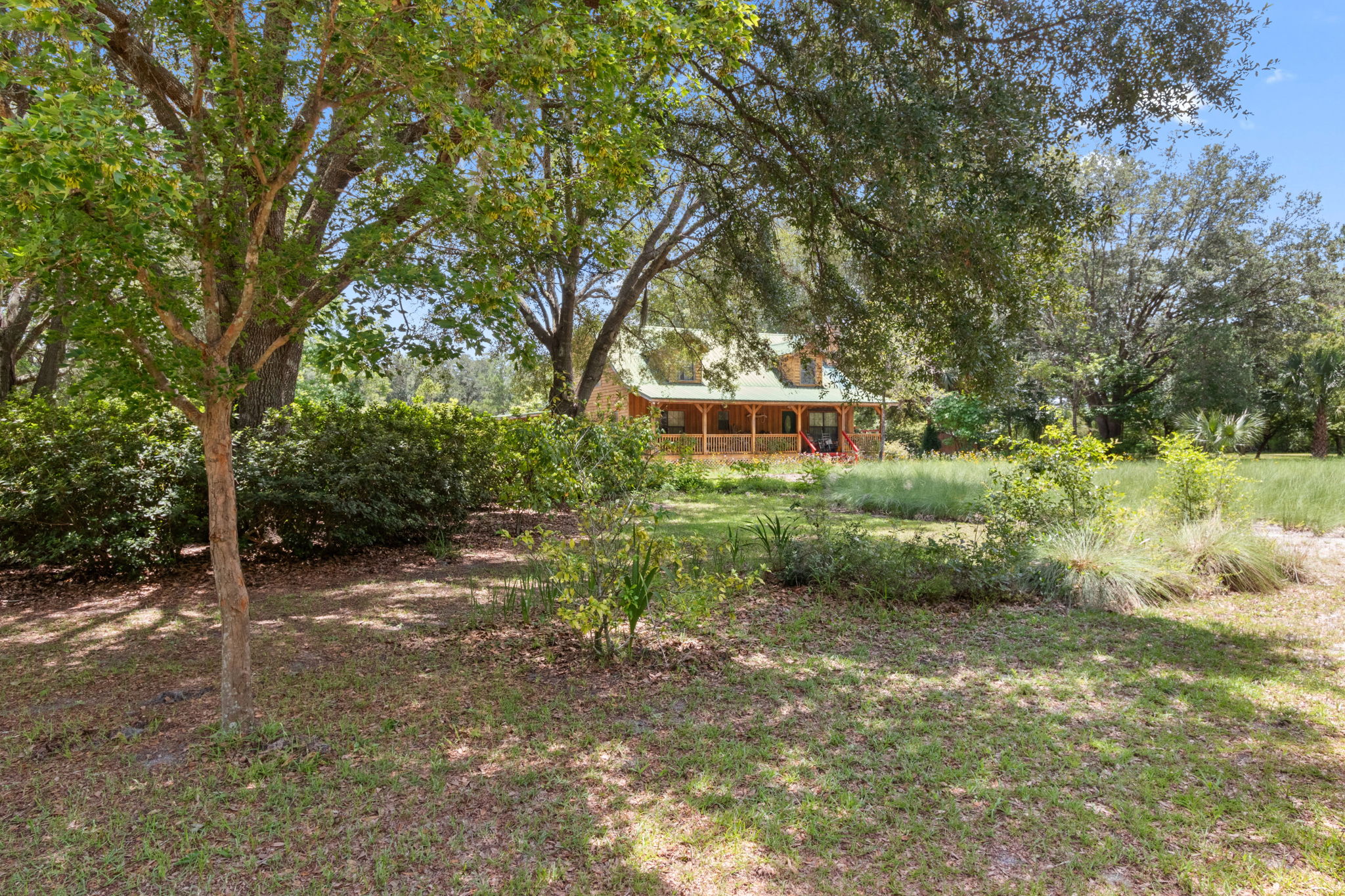 Front Yard
